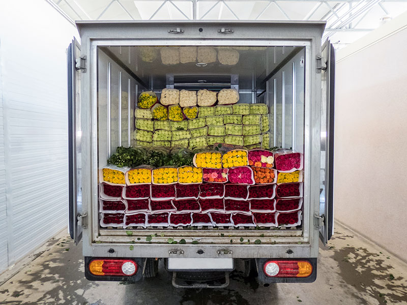 Temperaturkontrollierter Transport
